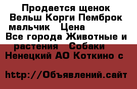 Продается щенок Вельш Корги Пемброк мальчик › Цена ­ 65 000 - Все города Животные и растения » Собаки   . Ненецкий АО,Коткино с.